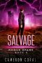 [Rogue Spark 04] • Salvage